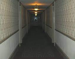 The Overlook Hotel Hallway The Hotel From The Shining Hotel Hallway Overlook Hotel Hotel
