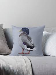 Mallard drake duck Pillow