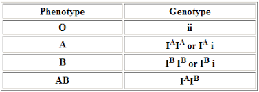 4 3b genetics i am so