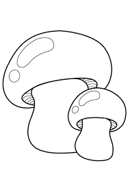 Risultati Immagini Per Funghi Da Colorare Disegnare Funghi Disegni Funghi