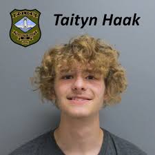 Two Arrested for Theft...