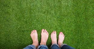 Application in ornamental garden, kitchen garden, greenhouse and fruit garden. Why When And How To Apply Lime To Your Lawn
