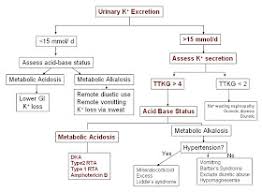 Image result for Transtubular Potassium Gradient
