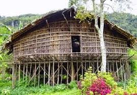 Nama Dan Gambar Rumah Adat Serta Penjelasannya Traditional House House Styles House