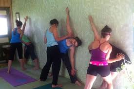 Learn, teach & get inspired. 10 Best Yoga Teacher Training In Florida 2021 2022 Bookretreats