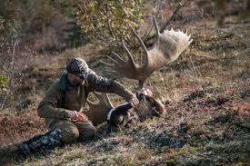 Our collection of hunting clothes includes hunters hats, baseball caps and other headwear, waterproof jackets and soft shells, shirts and cargo trousers, many in specialist camouflage, like the original english oak camo from jack pyke. Dw Yr98h7nndvm