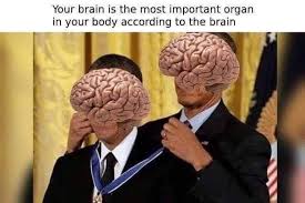 Pin By Katie Justus On Random Stuff Memes Build Muscle Body