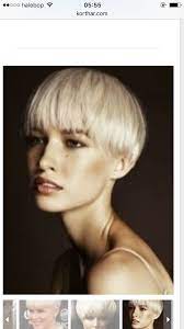 Bowlcut Pottfrilla Pottfrisyr Bowlcutwomen Pottfrillatjej Short Hair Styles Hair Styles Short Platinum Blonde Hair