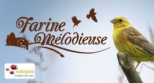 La Farine Melodieuse Est Belge Et Elle Sauve Les Oiseaux