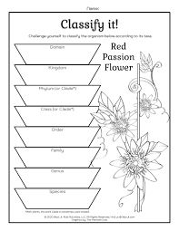 Maybe you would like to learn more about one of these? What Is The Classification Of Plant Taxonomy