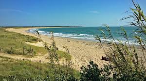 Avec plus de 100 kilomètres de côtes, vous trouverez de nombreuses plages sur l'île d'oléron : Camping Saint Denis D Oleron 17650 Campings Online Campings Online