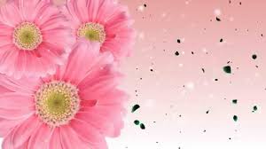 Check spelling or type a new query. Animated Flowers Blooming Background Youtube