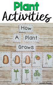 Plant seeds inside a sealed plastic bottle and observe both the water cycle and the plant life cycle in one. Plant Non Fiction Unit For Kindergarten First Second Grade Posters Anchor Charts Life Cycle Activitie Plant Activities Plant Life Cycle Preschool Science