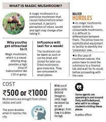 Now Youths Bite Into Magic Mushroom For A High The New Indian Express
