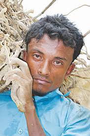 The environmental sacrifice