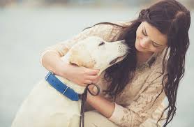 Our mission is to provide our patients and clients with the best quality of veterinary care and customer service while creating a safe and hospitable environment for our patients and employees. Pet Dermatology Veterinarian Austin Tx