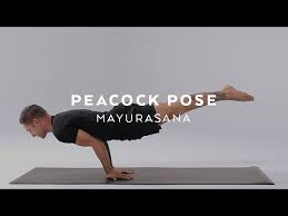 We did not find results for: How To Do Peacock Pose Mayurasana Tutorial With Dylan Werner Youtube
