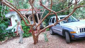 Auto insurance, driving to mexico something few people think about when planning a road trip to mexico, especially for the first time, is the fact that they need mexico liability insurance for their vehicle. The Honest Truth About Renting A Car In Mexico I Boundless Roads