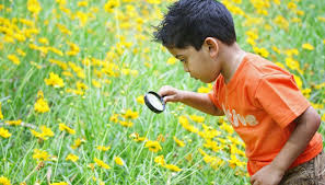 Neef has gathered a list of activity guides and online resources to keep kids interested and engaged visit our environmental education resources page for more activities, infographics, and educator resources. Tips For Better Environmental Education Ecomena