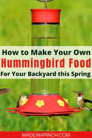 The Easiest Homemade Hummingbird Food Recipe Recipe Hummingbird Food Homemade Hummingbird Food Hummingbird Food Diy