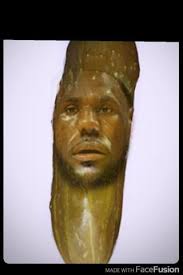 Celebrity Pickle (@celebritypickle): "2 Time Dill Pickle Champion, Lebron  James!"