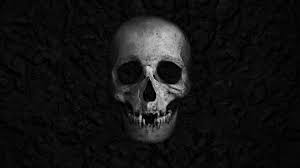 Download Skull Wallpaper By Fobaa 35 Free On Zedge Now Browse Millions Of Popular Foba Wallpapers And R 4k Wallpapers For Pc Skull Wallpaper Wallpaper Pc