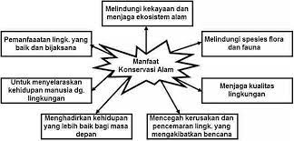 Pin Di Kunci Jawaban Tematik