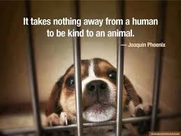 Wanting To Switch Jobs To Work In A Vets Office Animal Boarding Place Somewhere With Animals Instead Of People I Love Them So Mu Animals Animal Quotes Pets