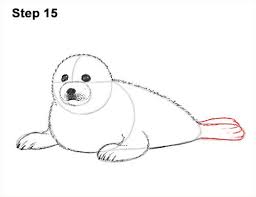 Draw A White Harp Seal Pup 15 Seal Pup Harp Seal Polar Bear Art It is the result of a rapidly executed freehand drawing. draw a white harp seal pup 15 seal