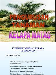 Kelapa merupakan tanaman asli yang bersal dari daerah tropis, yaitu wilayah yang terletak disepanjang garis khatulistiwa. Kertas Kerja Penanaman Kelapa Matag