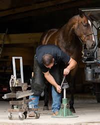 Profile for Heath Lash Horseshoeing