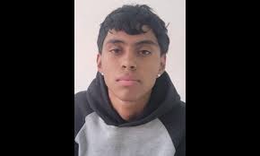 Pesquisa de Ghaleb Alexander Araujo Florez de 16 años de edad