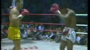 The epic of Dutch Muay Thai champions