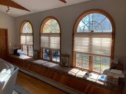 The glass has a frosted clear finish on one this shade was made 40 years ago to fit the original frankart and other lamps, and they fit! Window Treatments Custom Blinds Shades Shutters Drapes