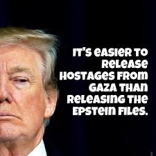 Friends Who Like Occupy Democrats