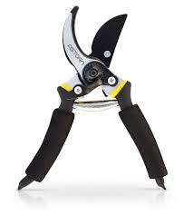 Astorn Bypass Pruning Shears For Garden Maintenance Branch Clippers And Rose Pruning Shears Hand Pruners Wi In 2020 Garden Scissors Pruning Shears Pruning Scissors