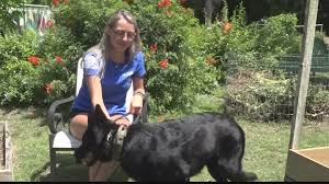 Augustine beach is a city in st. Florida Woman Reunites With Missing Dog In Indiana Firstcoastnews Com