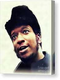 Fred Hampton Canvas Prints & Wall Art for Sale