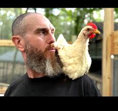 What does everyone recon for mites? Any of the below ?