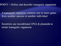 A transgenic organism is a gene that can be transplanted from one species to another. Altering Dna Point Define And Describe Recombinant Dna Point Show How Bacterial Plasmids Are Used In Recombinant Technology Point Define And Describe Ppt Download