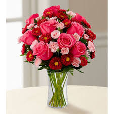 Check spelling or type a new query. 33 Best Congratulations Flowers Ideas Congratulations Flowers Flowers Flower Delivery