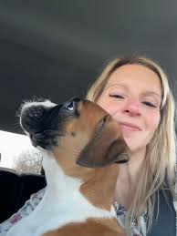 I would like you all to meet flump he's 14 weeks old and had a few issues  but he's a fighter. I would send a picture of his brother but he never