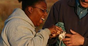 One hop closer to recovery for the Stephens' kangaroo rat