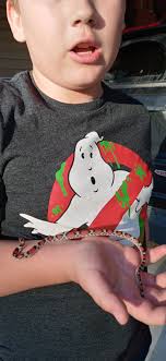 Yellow banded bird ID needed in Maryland