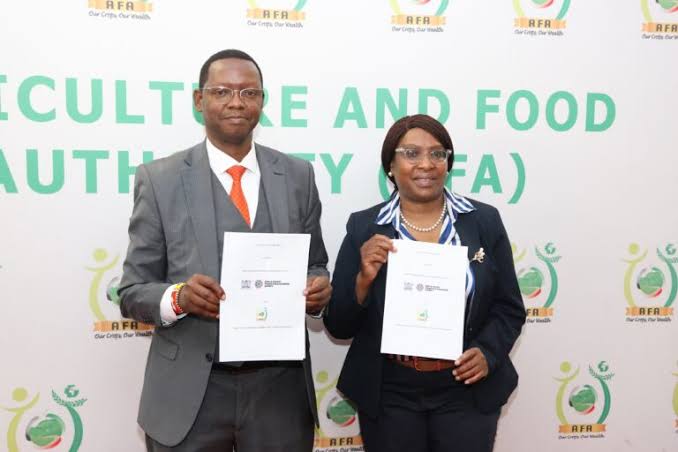 AFA Sets New Minimum Wheat Prices for 2025/2026 Season | Kilimo News