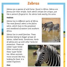 Ah yes, the swiss cheese and chocolate. What Is A Zebra Answered Twinkl Teaching Wiki