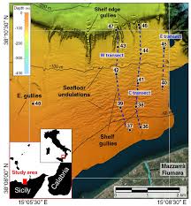 How to convert euro to romanian leu. Geosciences Free Full Text Benthic Foraminiferal Response To Sedimentary Processes In A Prodeltaic Environment The Gulf Of Patti Case Study Southeastern Tyrrhenian Sea Html