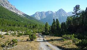There are 3 ways to get from zürich to schweizer nationalpark by train, bus, night bus or car. Wandern Im Grossten Wildnisgebiet Dem Schweizer Nationalpark