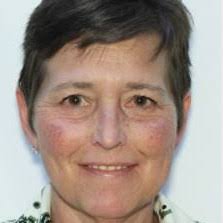 Pueblo Crime, Theft Reports, and Public Information.