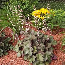 Some formal gardens are lacking in flowers, but a flowering plant with a mounding habit such as lavender is perfectly suitable in a formal landscape. How To Plan A Perennial Flower Garden Dengarden